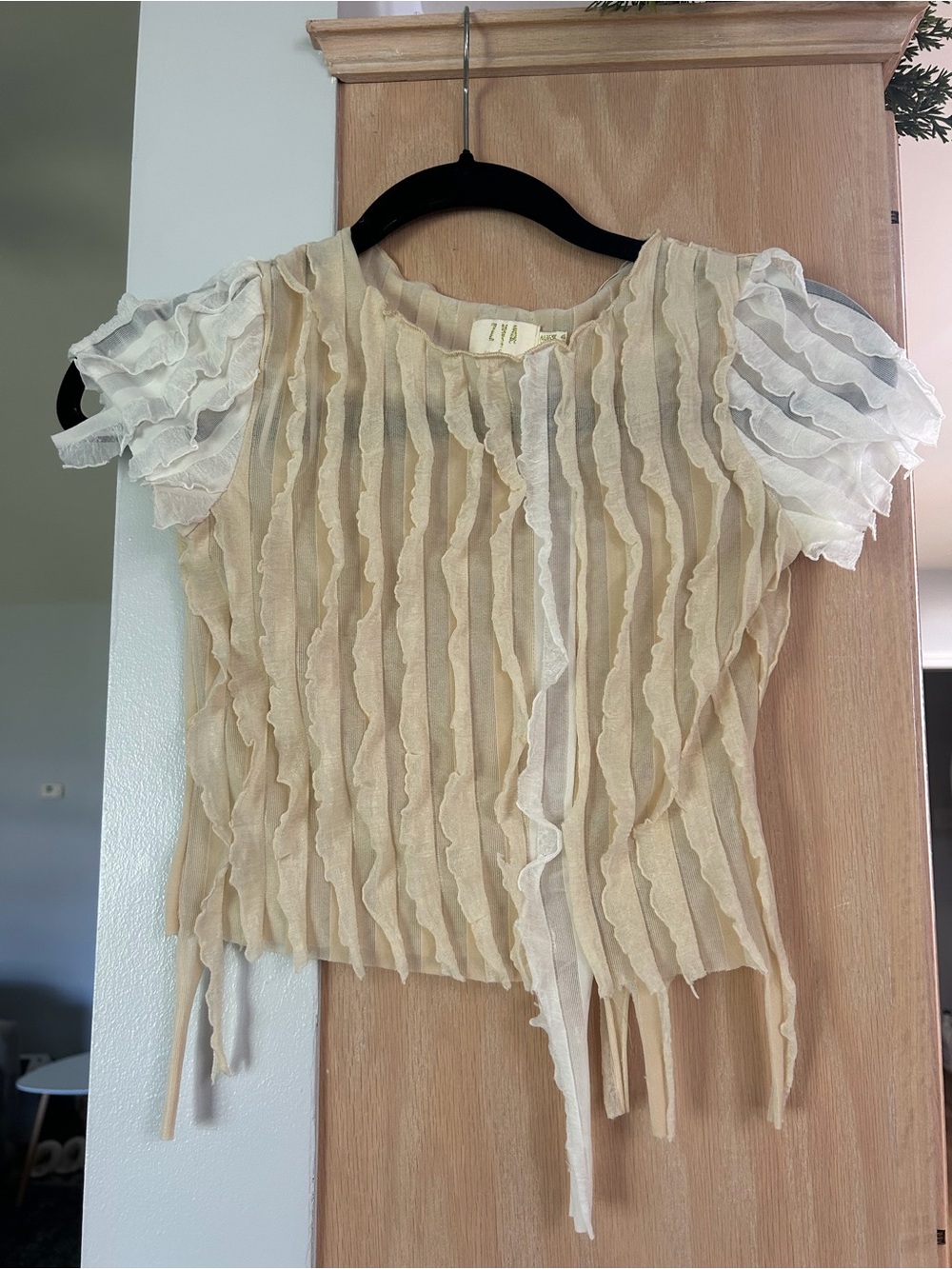 Beginning Boutique Sheer Ivory Ruffled Stripe Crop Top